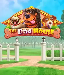 Pragmatic Play's The Dog House Slot, bringing you a fun-filled adventure through playful pups. Enjoy gameplay elements such as multipliers, aimed at delivering exciting wins. A must-try for animal enthusiasts a lighthearted theme and the opportunity to win big.