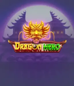 Join a fantastic quest with Dragon Hero by Pragmatic Play, showcasing stunning visuals of mighty dragons and epic encounters. Explore a world where magic meets thrill, with featuring enchanted weapons, mystical creatures, and treasures for a captivating slot experience.